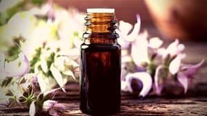 clary sage seed oil