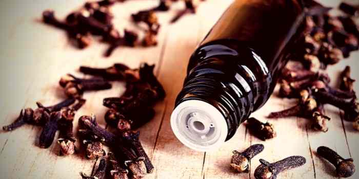 clove-oil-benefits