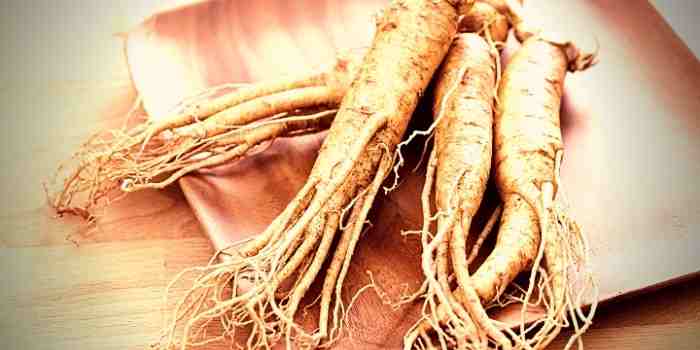 ginseng