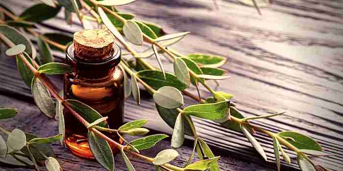 manuka essential oils benefits