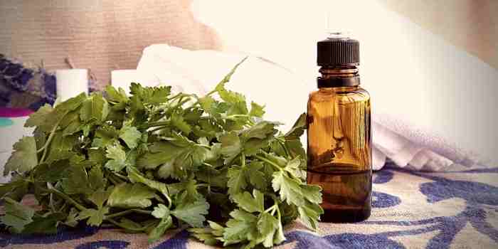 parsley oil