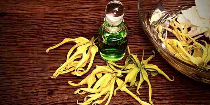 ylang-ylang-oil-benefits-of-spiritual