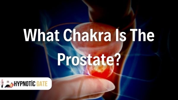 what chakra is the prostate 