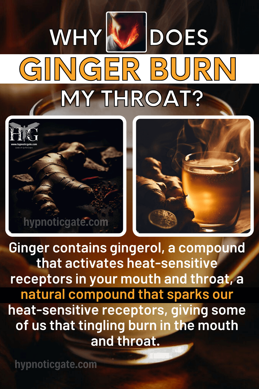 Why Does Ginger Burn My Throat? 