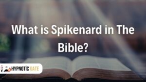 What is Spikenard in The Bible?
