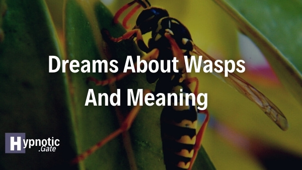 Dreams About Wasps And Meaning 