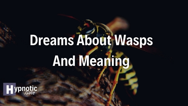 Dreams About Wasps And Meaning