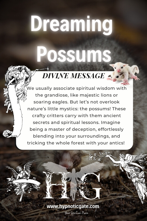 Nature’s Little Mystics Spiritual Meaning of Possums