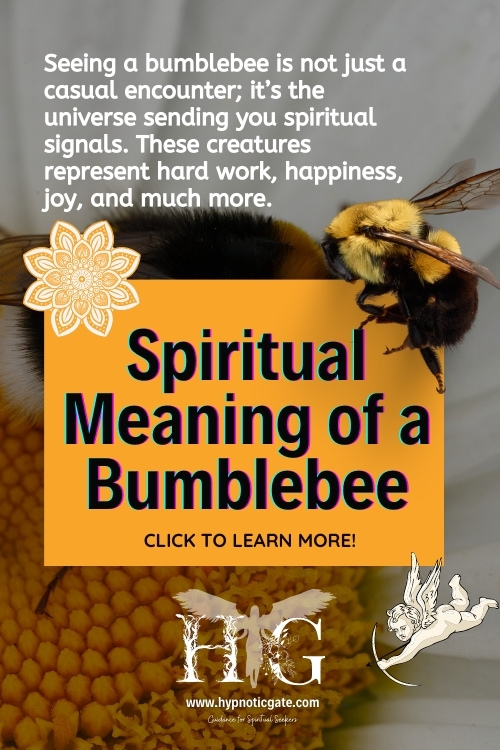 Spiritual Meaning of a Bumblebee 