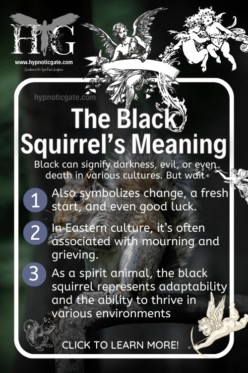  black squirrel's meaning 