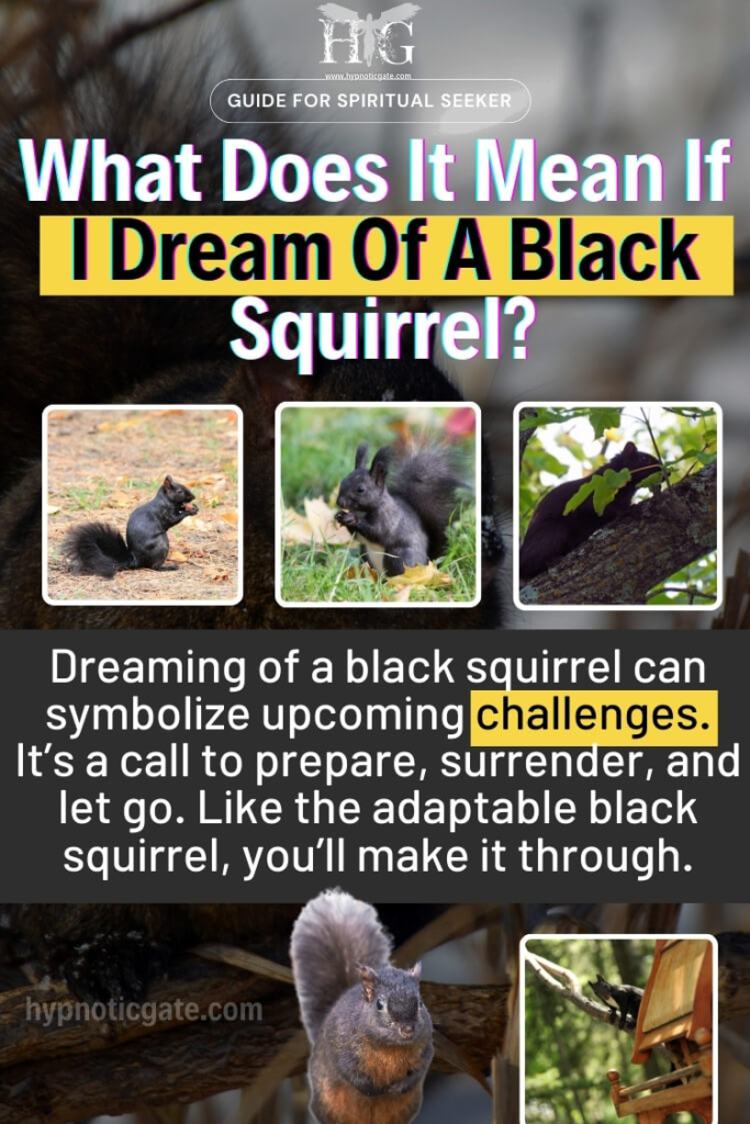 What Does It Mean If 
I Dream Of A Black Squirrel?