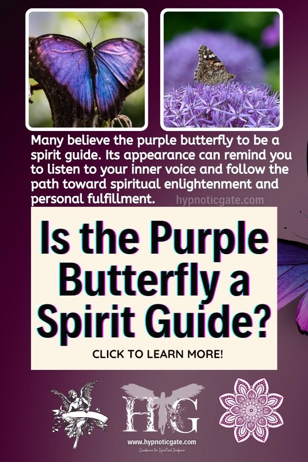 Is the Purple Butterfly a Spirit Guide