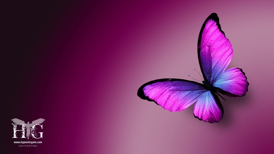 The Profound Meaning of the Purple Butterfly 
