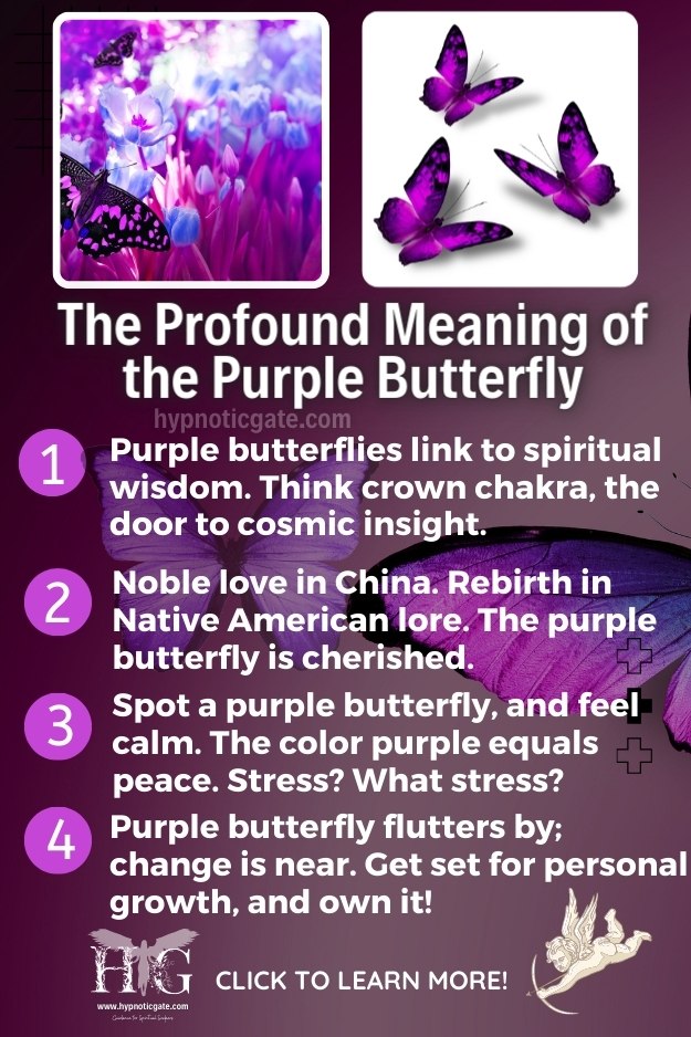 Purple Butterfly Sightings: Spiritual Meaning and Symbolism - A-Z