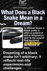 Understanding Black Snake Dreams: An In-Depth Analysis Hypnoticgate