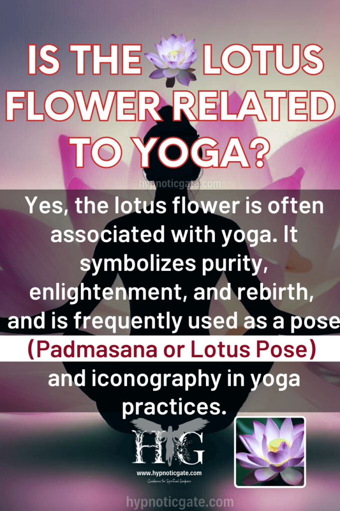 Lotus Flower in Yoga