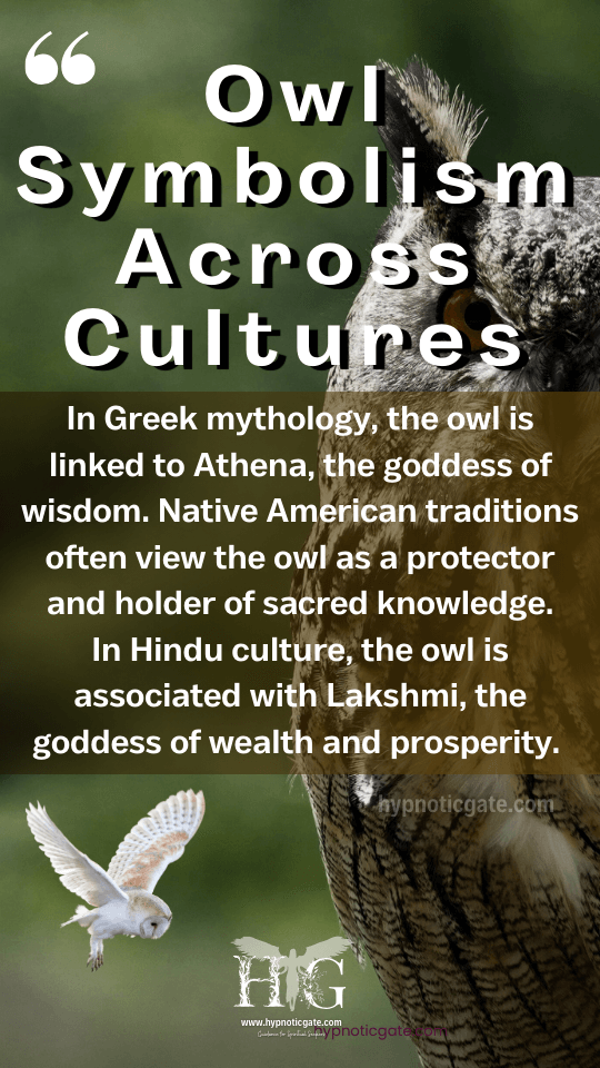 Owl Symbolic Meaning Across Cultures