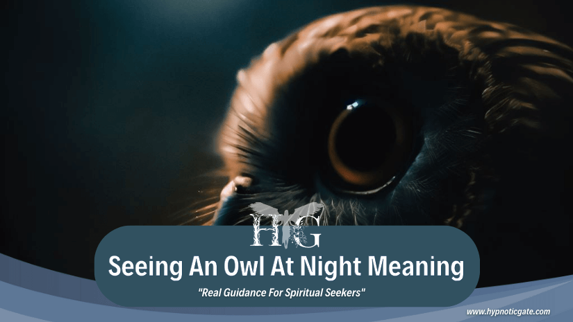 Seeing An Owl At Night Meaning