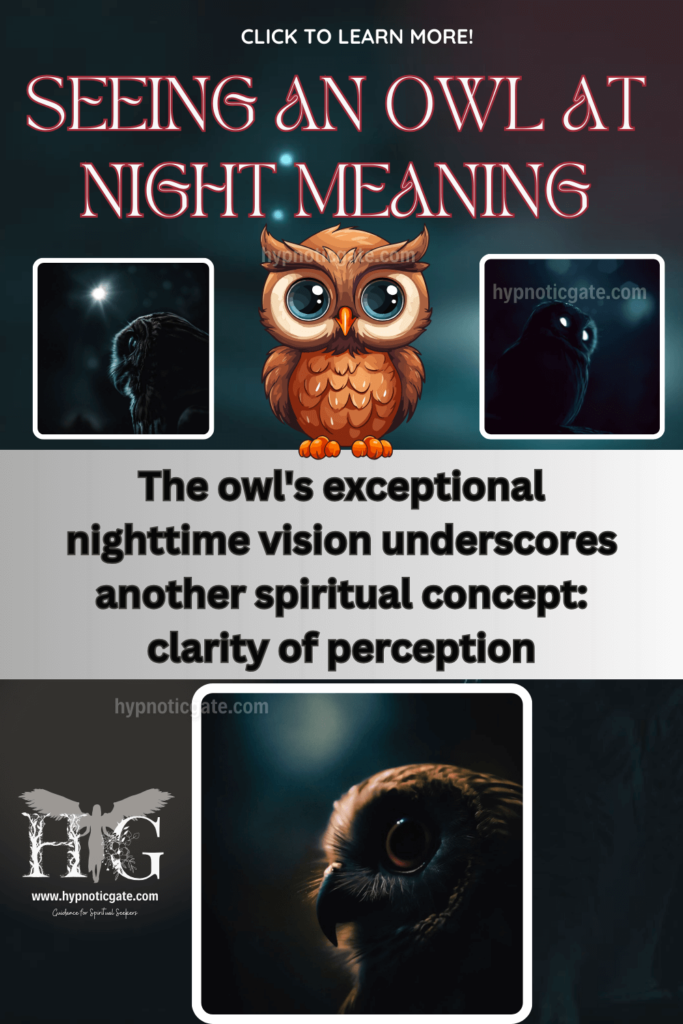 Seeing An-Owl At Night Meaning