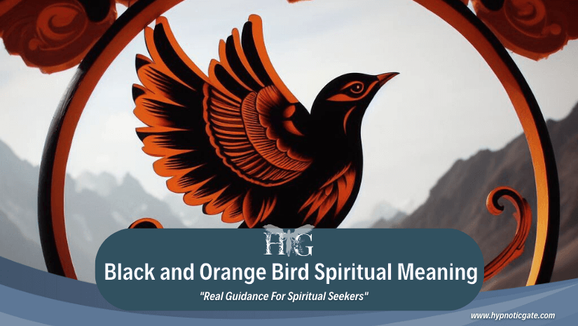 Black and Orange Bird Spiritual Meaning