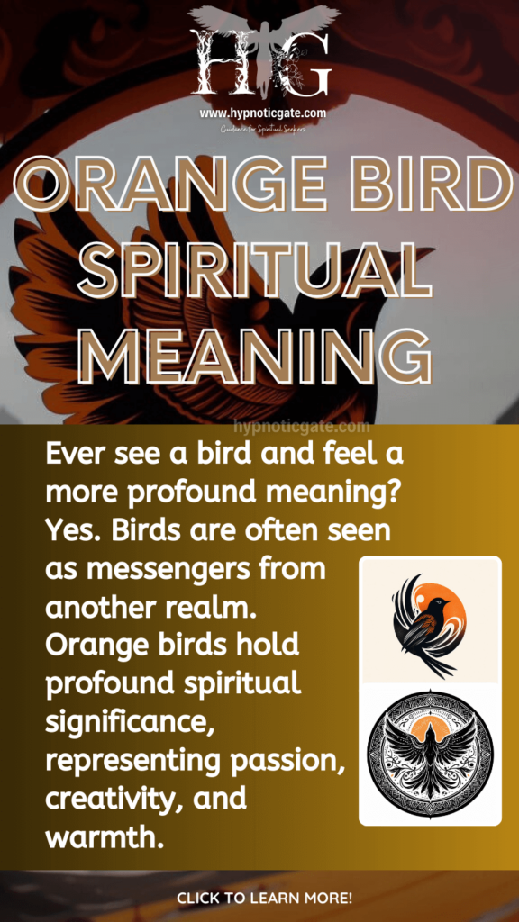 Black and Orange Bird Spiritual Meaning