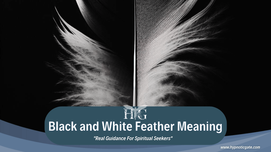 Black and White Feather Meaning