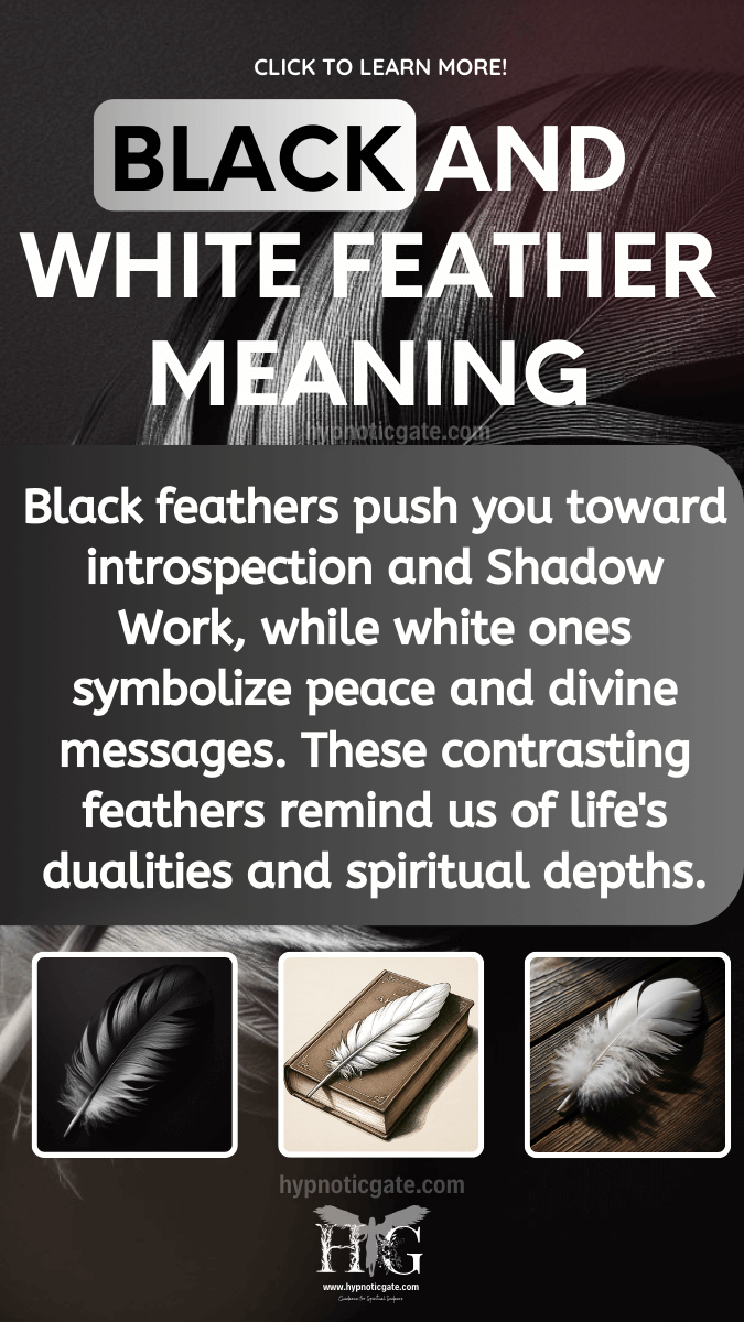 Black and White Feather Meaning & Spirituality