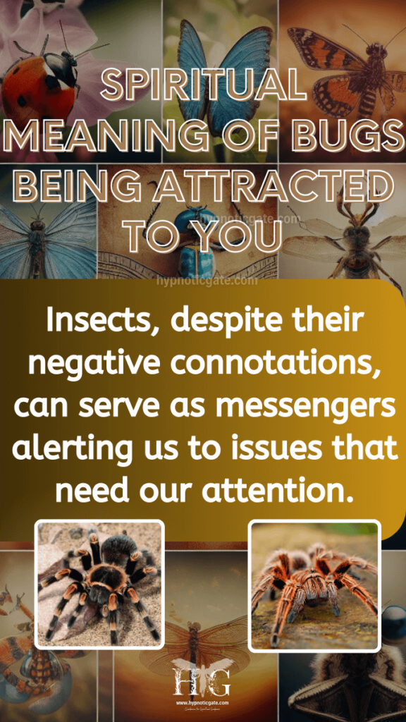 Spiritual Meaning of Bugs Being Attracted to You