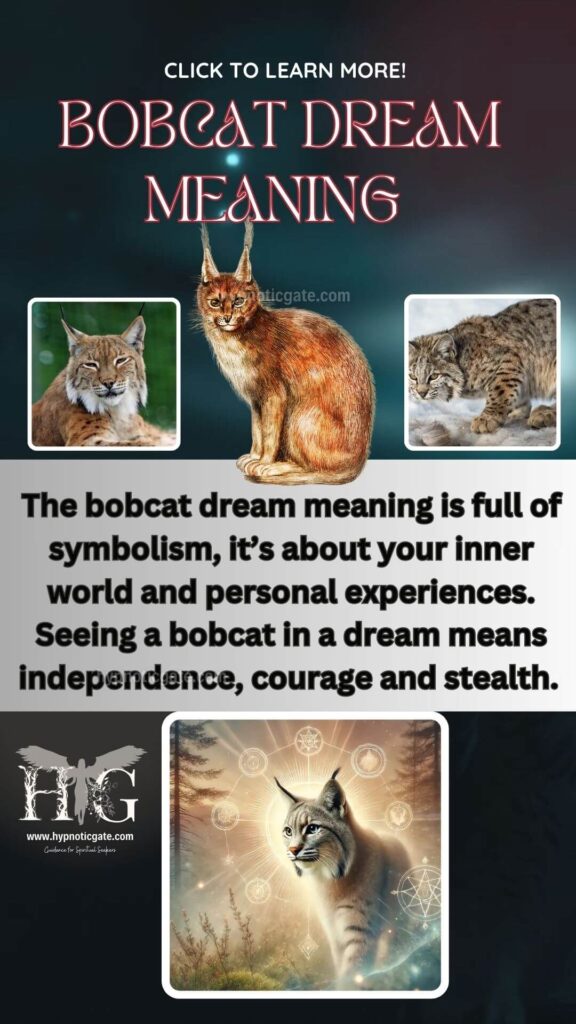  Bobcat Dream Meaning